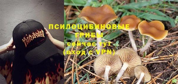 прущие крисы Гусиноозёрск
