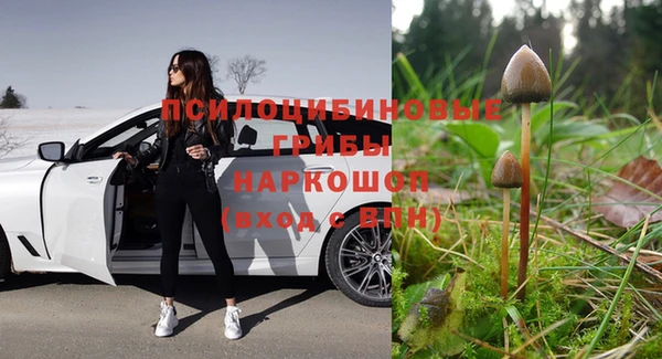 ECSTASY Горнозаводск