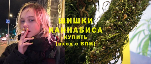 ГАЛЛЮЦИНОГЕННЫЕ ГРИБЫ Горно-Алтайск